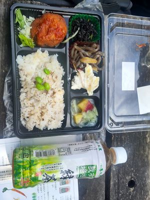 Bento to Go for a breakfast at a park at Evah Dining Macrobiotic - JR Hakata in Fukuoka