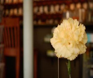 tea house at InfusionTea in Orlando