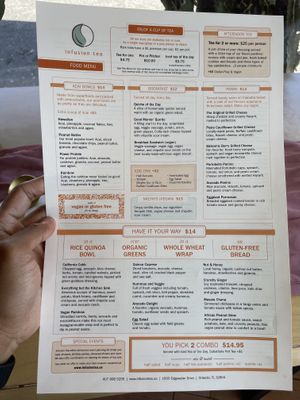   at InfusionTea in Orlando