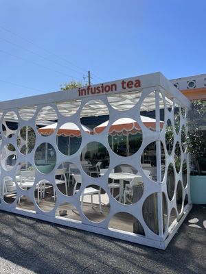   at InfusionTea in Orlando