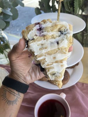   at InfusionTea in Orlando