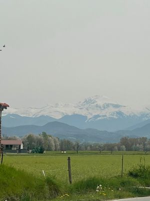  at Il Cardo e l'Ortica in Mondovi
