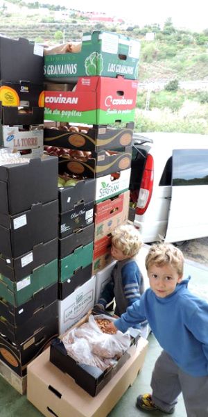 preparing the boxes for delivery at Raw in Berlin Fresh Food-Coop in Berlin