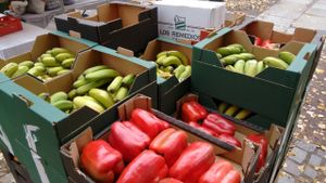 Boxes of fruit at Raw in Berlin Fresh Food-Coop in Berlin