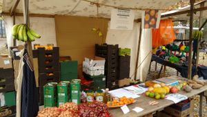 Delivery and distribution at Raw in Berlin Fresh Food-Coop in Berlin