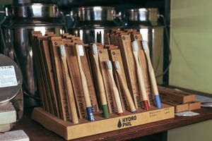  at Lose Dresden in Dresden