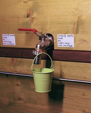  at Lose Dresden in Dresden