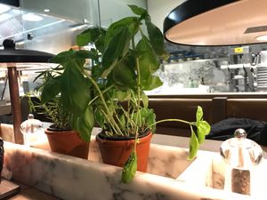 basil at Vapiano in Leipzig