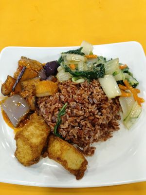 Brown rice with brinjal, tofu and green vegetables $6 at e Veg 益素食 - VivoCity in Central Singapore