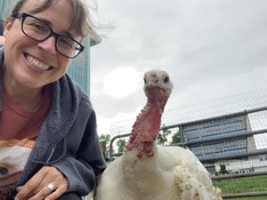 Me with Lily! Lily unofficially runs the Sanctuary, keeping us all in line. 🦃🤓  at Peak Animal Sanctuary in Freedom