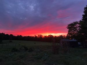 Uplands PEAK sunset in Freedom, Indiana. at Peak Animal Sanctuary in Freedom