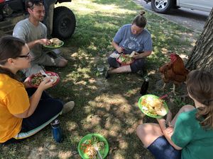 Workday + Potlucks are a great chance to give back AND connect with other like-minded folks. at Peak Animal Sanctuary in Freedom