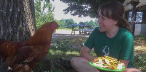 Lunch with a friend! Bodhi. at Peak Animal Sanctuary in Freedom