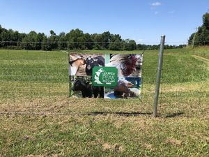 Welcome to Uplands PEAK! at Peak Animal Sanctuary in Freedom