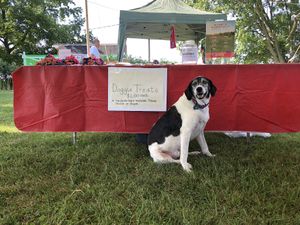 Abe! at Peak Animal Sanctuary in Freedom