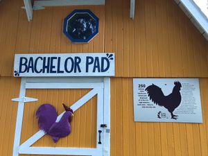 The Bachelor Pad! at Peak Animal Sanctuary in Freedom