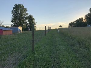 Evening stroll on the walking trail. at Peak Animal Sanctuary in Freedom