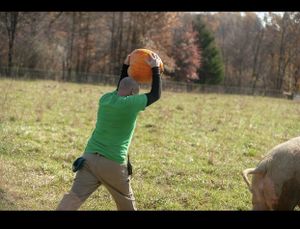 PEAK co-founder Mark. at Peak Animal Sanctuary in Freedom