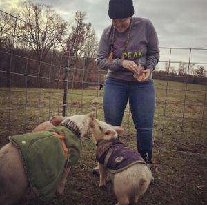 Animal caregiver Maureen with Potter and Pip! at Peak Animal Sanctuary in Freedom