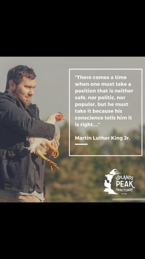 Volunteer Nate with a Freedom Seven resident. at Peak Animal Sanctuary in Freedom