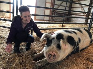 Volunteer Brooke with Brandi! at Peak Animal Sanctuary in Freedom