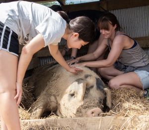 PEAK residents always get to decide whether or not they’d like to interact with visitors. at Peak Animal Sanctuary in Freedom