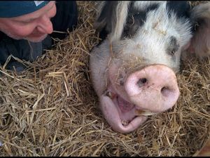 Co-founder Mark. at Peak Animal Sanctuary in Freedom