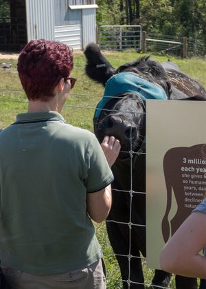 Zeke makes a new friend on Visiting Day! The residents of PEAK always have the option to decide whether or not they choose to interact with visitors. at Peak Animal Sanctuary in Freedom