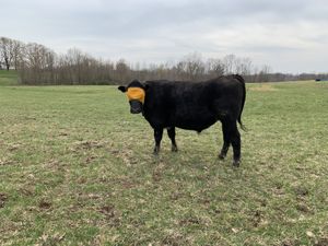 Zeke!! at Peak Animal Sanctuary in Freedom