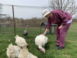 Supporter Kristen with Taffy and Lily and Freedom 7 members! at Peak Animal Sanctuary in Freedom
