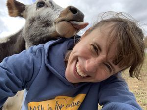 Freeda! Dairy industry survivor. at Peak Animal Sanctuary in Freedom