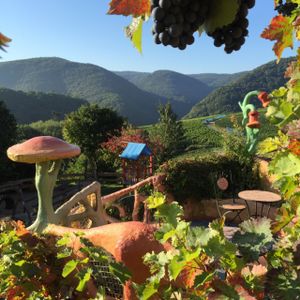 View from terrace  at Försters Weinterrassen in Ahrweiler