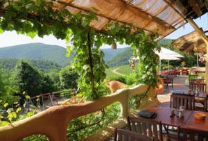 terrace at Försters Weinterrassen in Ahrweiler