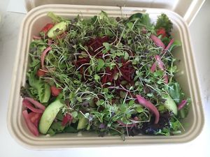 "Beat the heat" catering bowl. at Laney & Lu in Exeter