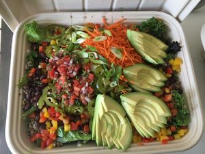 Festa catering bowl. at Laney & Lu in Exeter