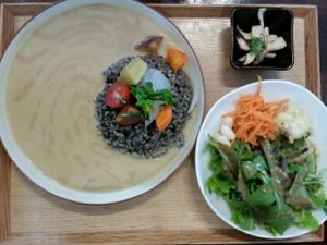 Curry set at Gomacro in Kyoto