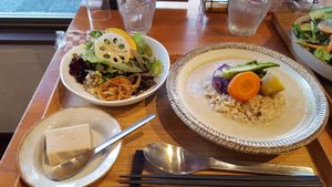 white curry set at Gomacro in Kyoto