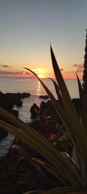 Sunset at Vivo Cafe & Restaurant in West Bay