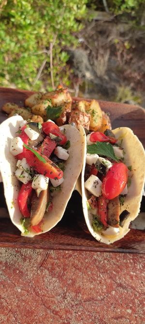 Greek tacos at Vivo Cafe & Restaurant in West Bay