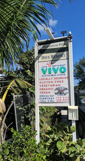 Vivo at Vivo Cafe & Restaurant in West Bay