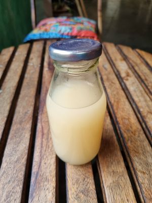 Ginger beer at Terrasen Cafe in Hyderabad