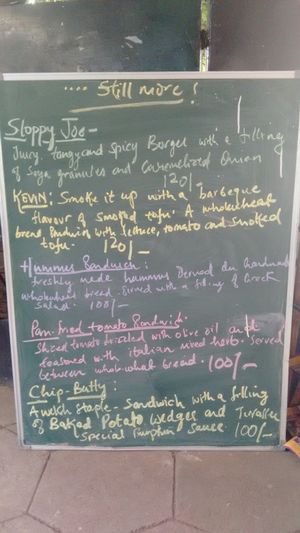 menu at Terrasen Cafe in Hyderabad