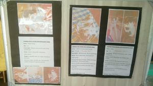 initiatives at Terrasen Cafe in Hyderabad