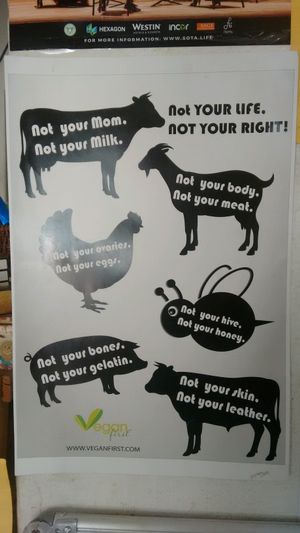 other at Terrasen Cafe in Hyderabad