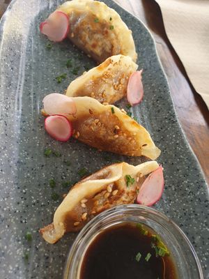 Gyozas at BuenaVida Vegan in Tenerife