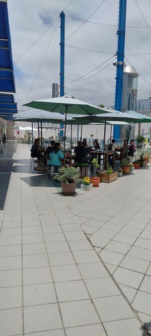 Terrazza at BuenaVida Vegan in Tenerife