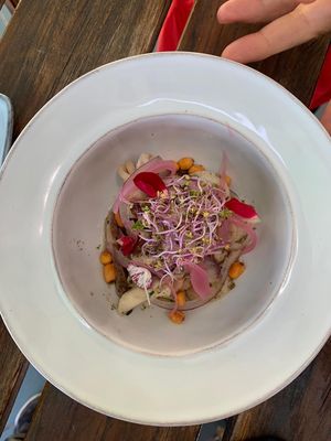 Ceviche de setas!  at BuenaVida Vegan in Tenerife