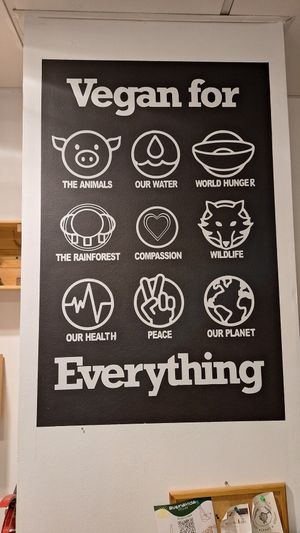  at BuenaVida Vegan in Tenerife