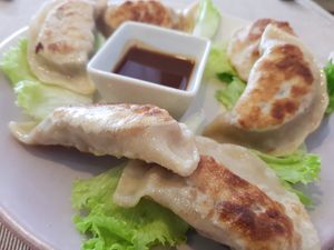gyoza at BuenaVida Vegan in Tenerife
