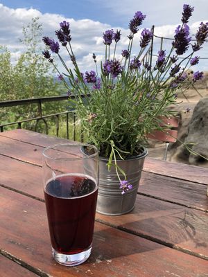 Terrasse at Berggaststatte Papststein in Gohrisch
